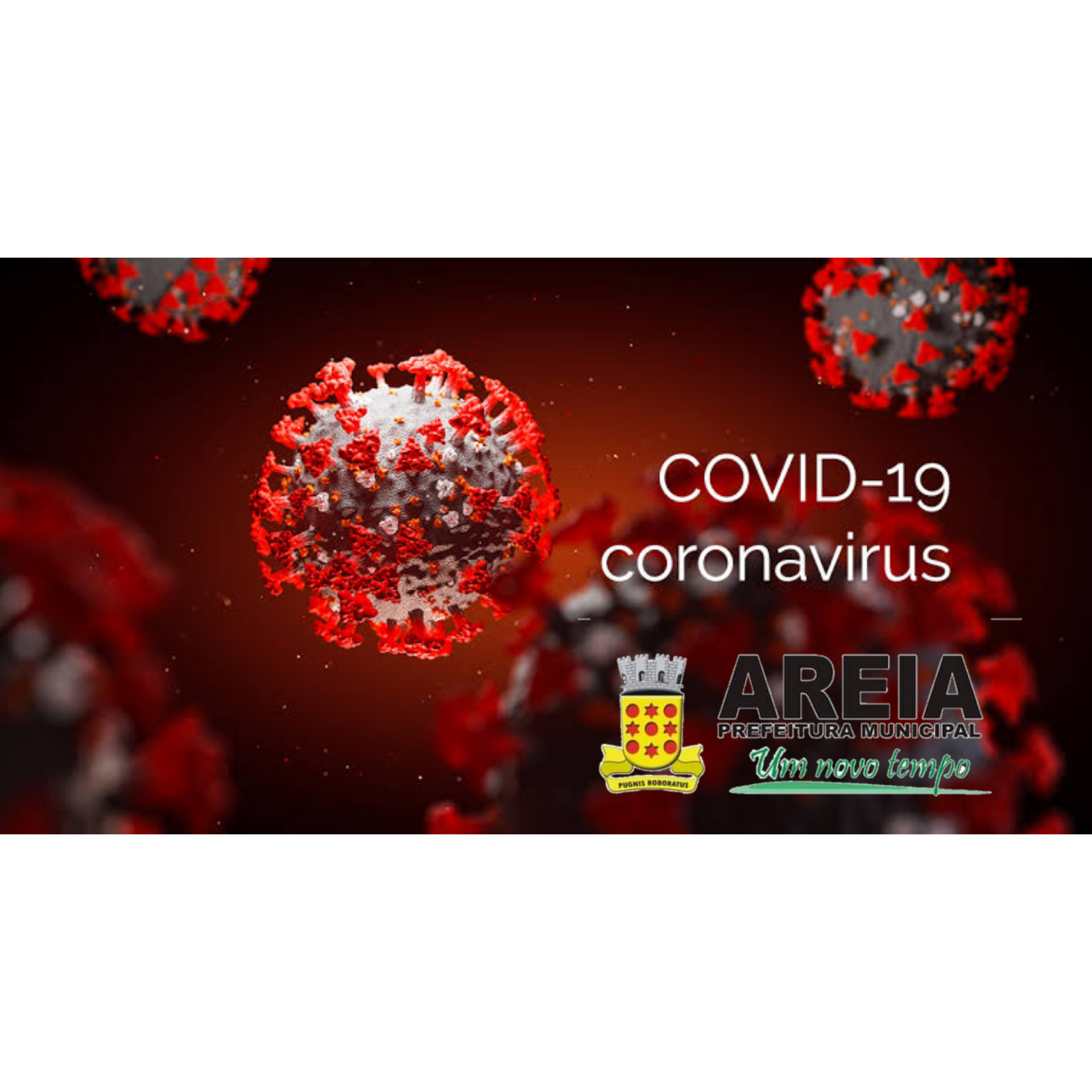 Reunião Virtual de Comitê de Crise de Combate ao Coronavírus