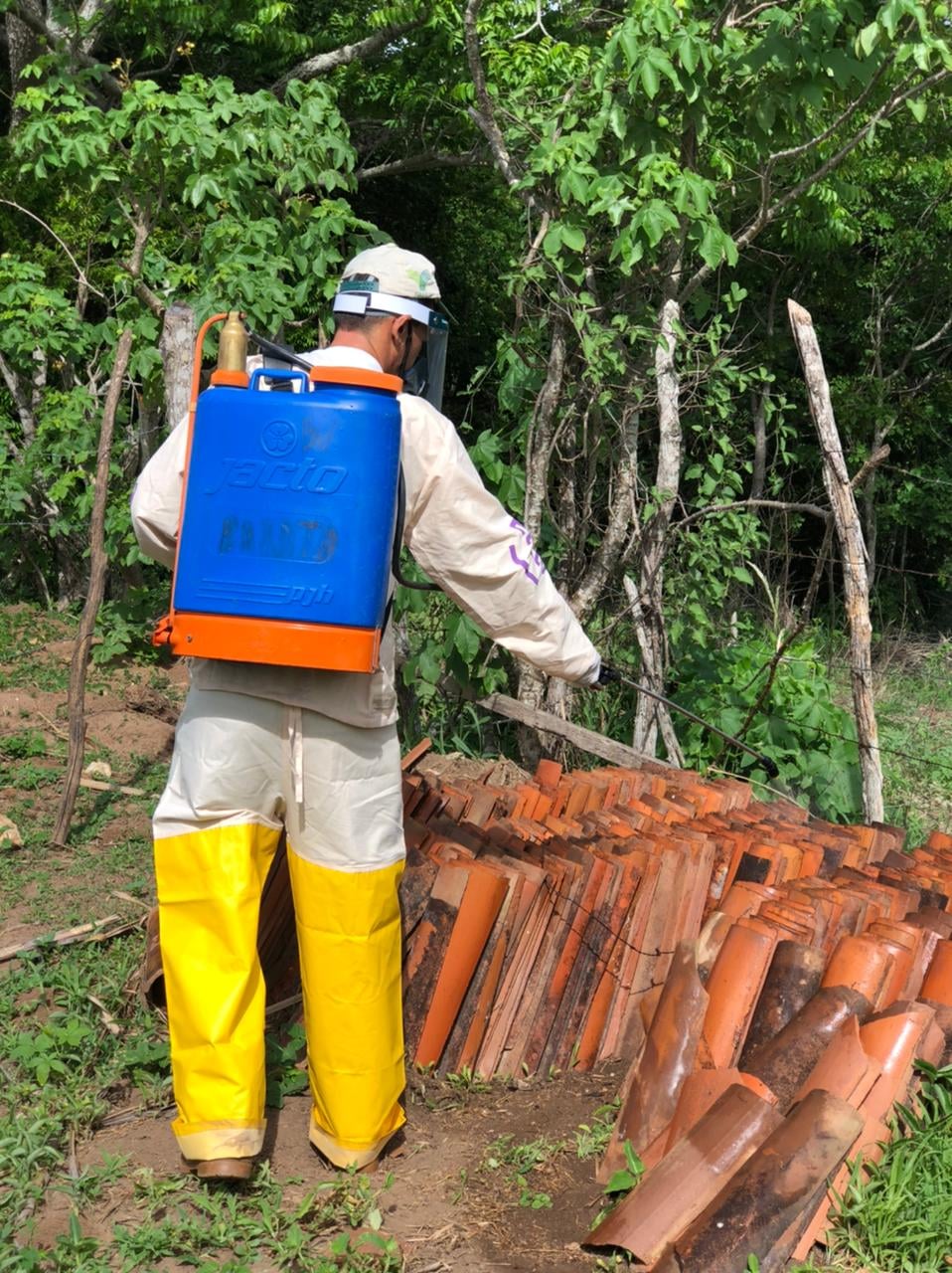 Vigilância Ambiental realiza serviço de combate ao “Barbeiro” inseto transmissor da doenças de Chagas