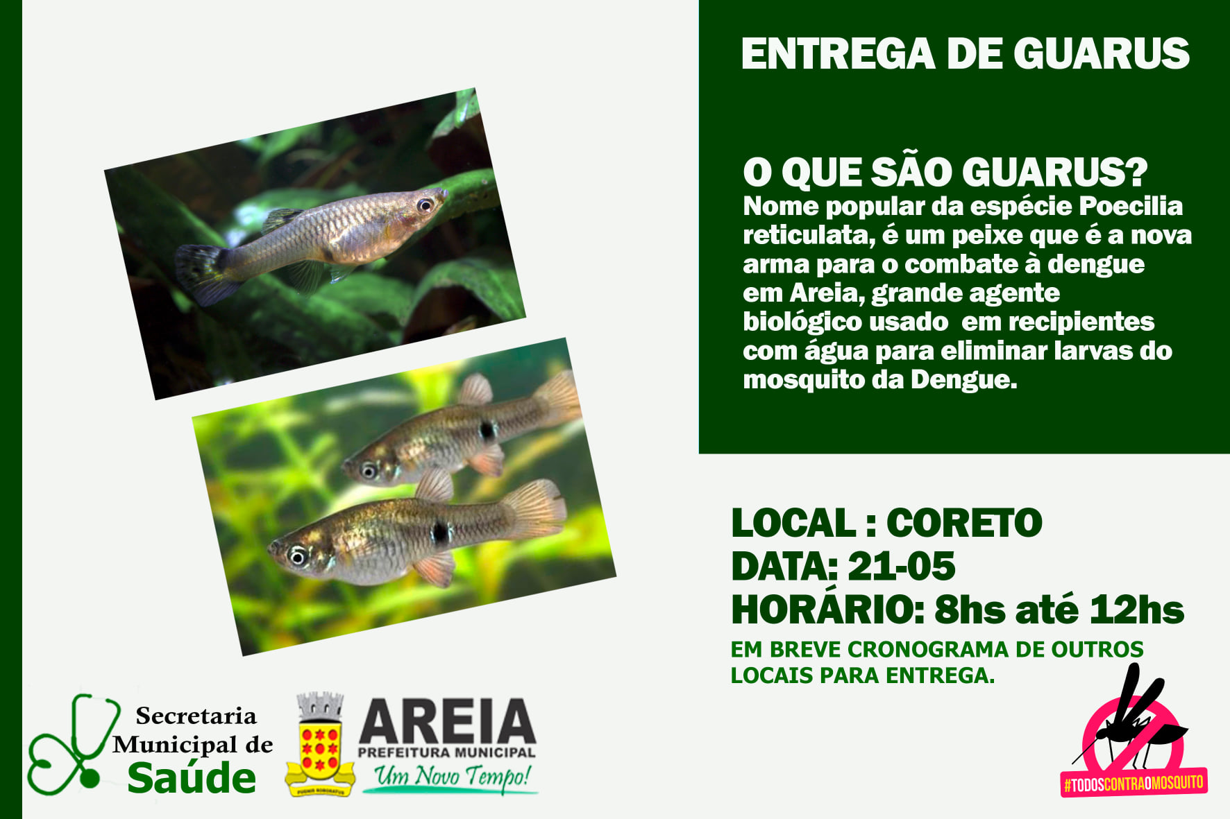 Vigilância Ambiental de Areia realiza entrega de Guarus, agente biológico utilizado no combate ao mosquito transmissor da Dengue