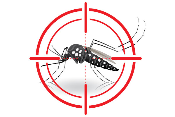 Vigilancia Ambiental de Areia intensifica os trabalhos de combate ao mosquito transmissor da Dengue