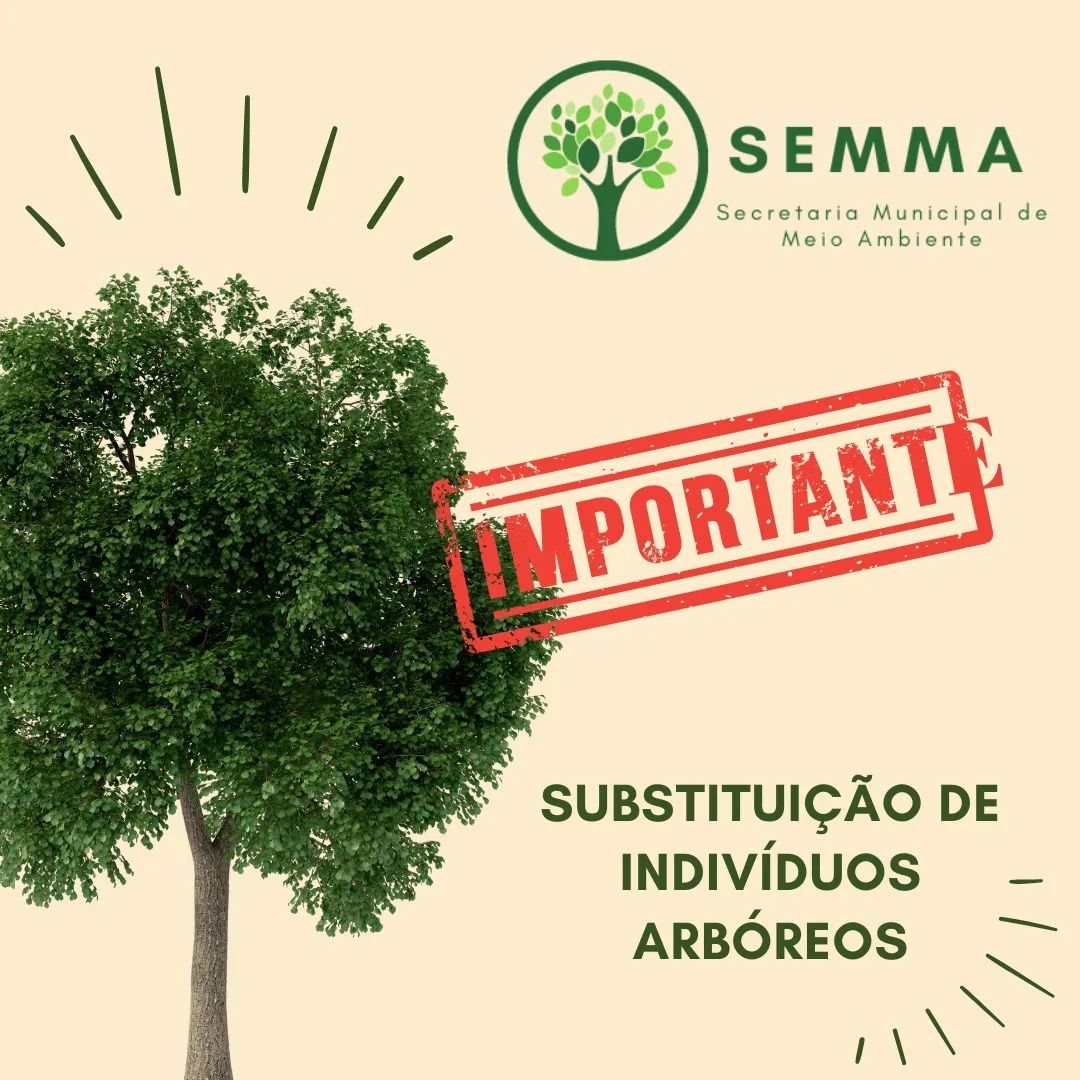 SEMMA realiza substituição de indivíduos arbóreos da Rua Pedro Américo no centro de Areia