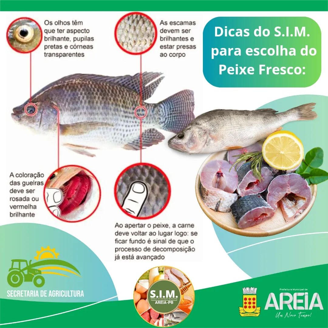 Dicas do Serviço de Inspeção Municipal de Areia para escolha do peixe fresco